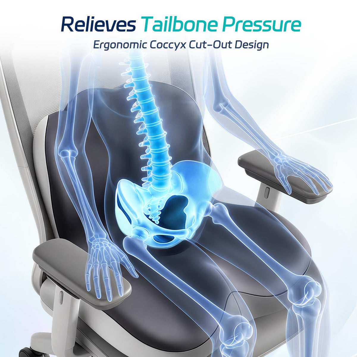 Lumbar Support Cushion